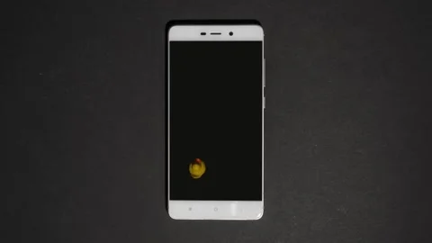 Toy Duck Unlocking Smartphone Stock Footage 87297264