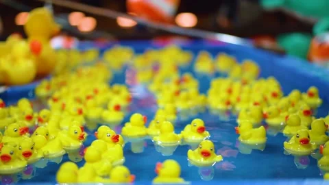 Toy ducks float on the water in the amusement park Stock Footage 219671355