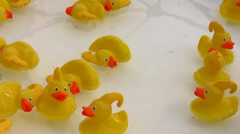 Toy ducks floating in water Vídeo Stock 41417858