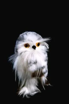 Toy eagle owl on a black background Stock Photos