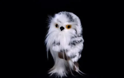 Toy eagle owl on a black background Stock Photos