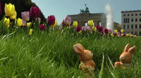 Toy easter bunny hiding in gras with tulips at brandenburg gate Stock Footage 58842690