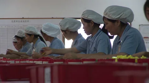 Toy Factory Video stock 963584