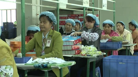 Toy Factory Video stock 963622