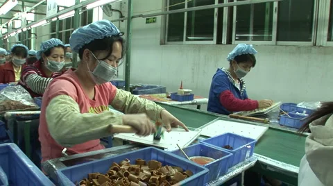 Toy Factory Video stock 963773