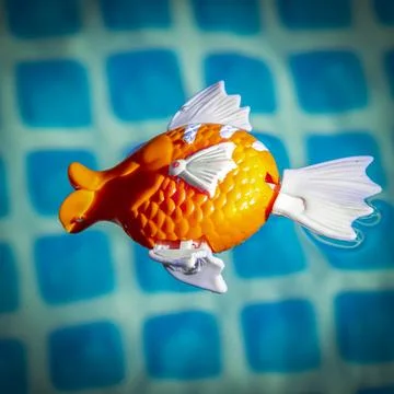 Toy fish in the pool Stock Photos