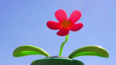 Toy flower Stock-Footage 3476087