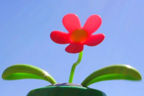 Toy flower Stock Footage 3476088