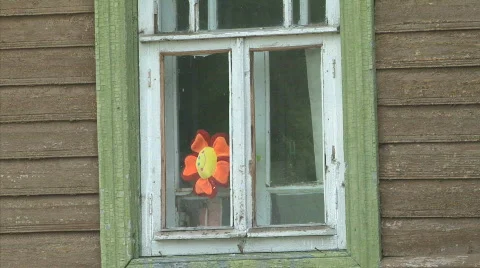 Toy flower in window Stockbeeldmateriaal 731743