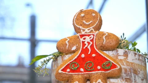 Toy in the form of cookie. Stock Footage 122388285