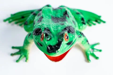 Toy Frog Stock Photos