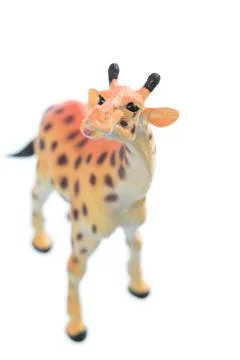 Toy Giraffe Stock Photos