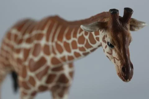 Toy giraffe 库存照片