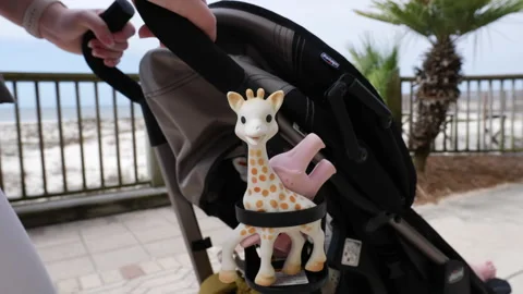 Toy Giraffe in Stroller Stock Footage 252612990