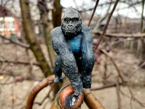 Toy gorilla in the tree Stockfoto's