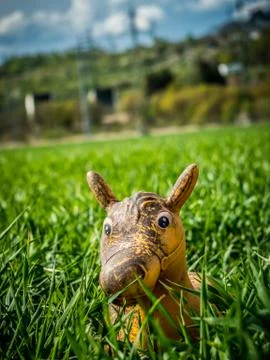 Toy in grass 写真素材
