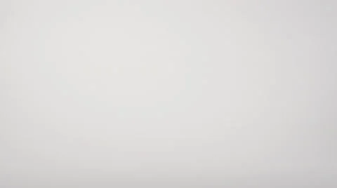 Toy Guinea Pig Moving Back and Forth Isolated on White 10bit, 4K Stock Footage 65299744