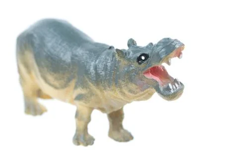 Toy Hippo Stock Photos