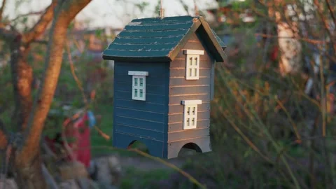 A toy house hanging from a tree Stock Footage 317941583