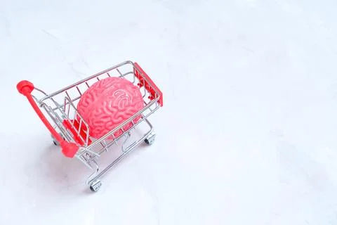 Toy Human Brain Model in a Push Cart 스톡 사진