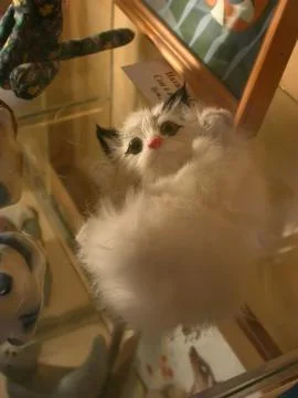 Toy kitten Stock Photos