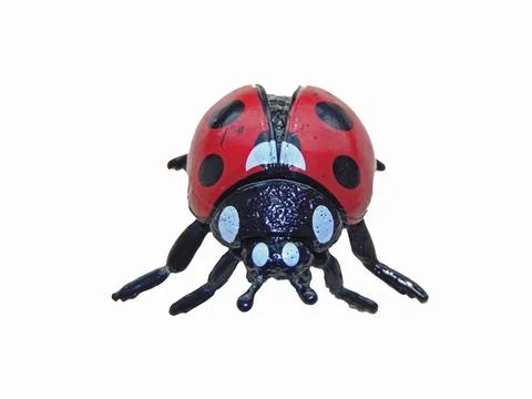 Toy ladybug isolated on white Stock Photos