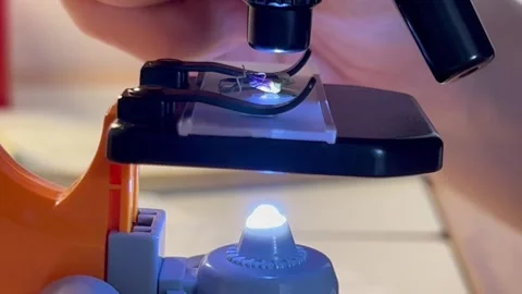 Toy microscope Stock Footage 172479444