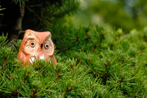 Toy owl in a tree Stock Photos