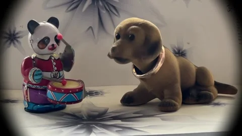 Toy panda bear with a drum and a wobbly little dachshund Stock Footage 292279729
