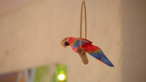 Toy parrot bird Stock Footage 72391940