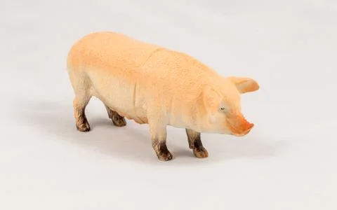 Toy pig model Stock Photos