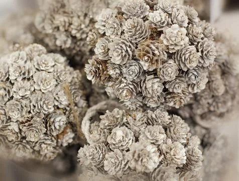 Toy Pine cones Stock Photos