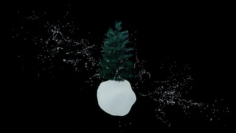 Toy pine tree on snowball in winter blizzard. Stock Footage 225437902