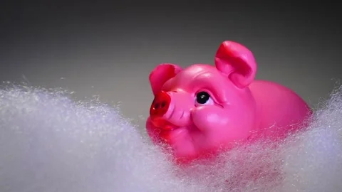 Toy pink pig. Background. Stock Footage 98092394