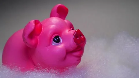 Toy pink pig. Background. Stock Footage 98092436