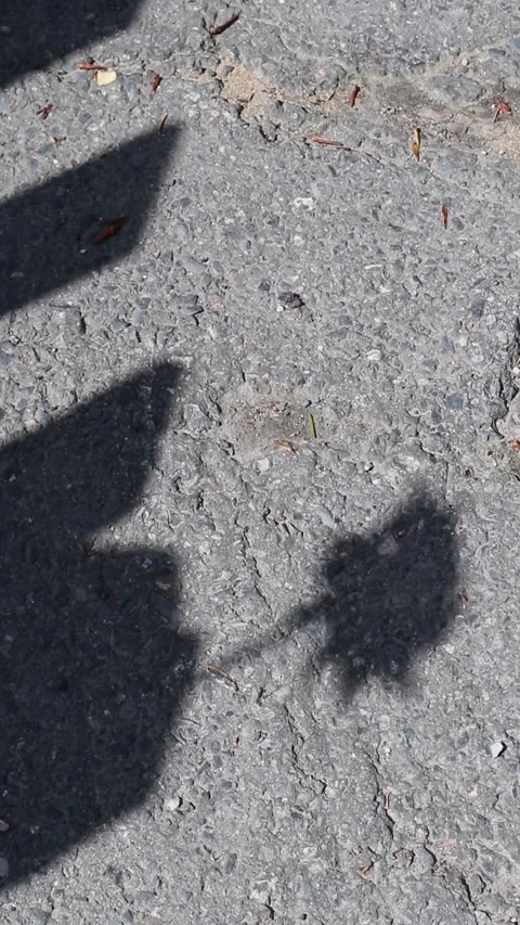 Toy pinwheels rotating shadow on the ground Stock-Footage 311439134