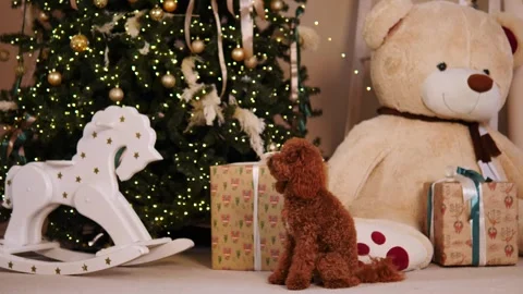 Toy poodle against a background of soft toys combined with Christmas decor Stock Footage 293250151