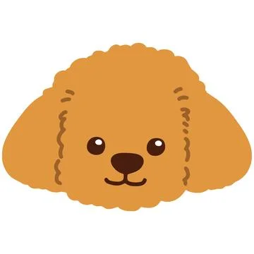 Toy Poodle front head flat color Stock Illustration