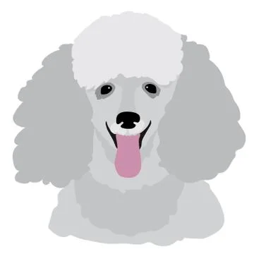 Toy Poodle Stock Illustration