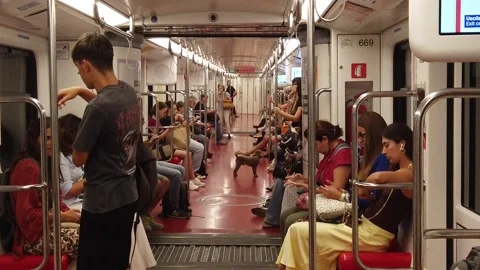 Toy puddle small dog inside public transport among Passengers Inside Subway 動画素材 346600356