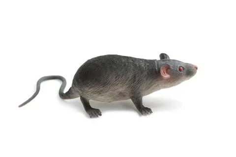Toy rat Stock Photos