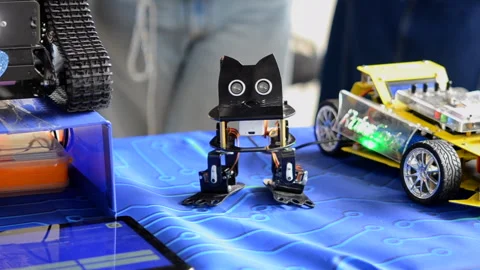 Toy robot. Black robot with with a cats face and legs close-up. Small toy robot Stock Footage 313865243