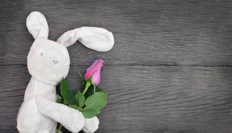 Toy with a rose Stock Photos
