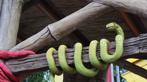 Toy snake on the beam Stock Footage 50376526