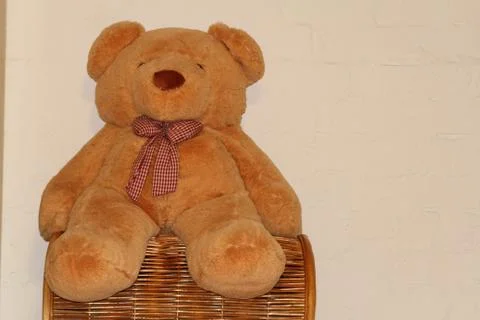 Toy - soft bear. on a light background Stock Photos