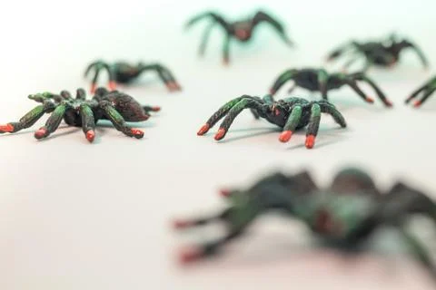 Toy spiders isolated Stock Photos