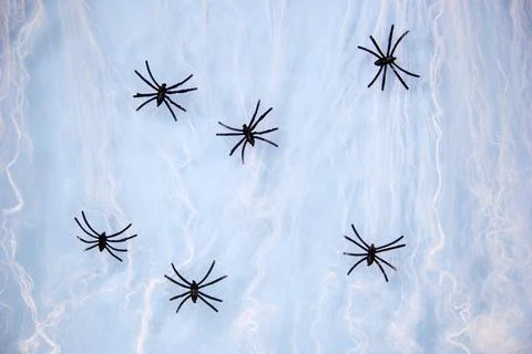Toy spiders on the web. Web on a blue background Stock Photos