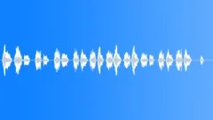 TOY SQUEAKY PISTON LONG01 Sound Effect