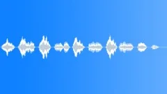 TOY SQUEAKY PISTON LONG05 Sound Effect