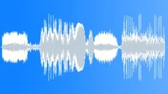Toy Squeaky Squeak Double Sound Effect
